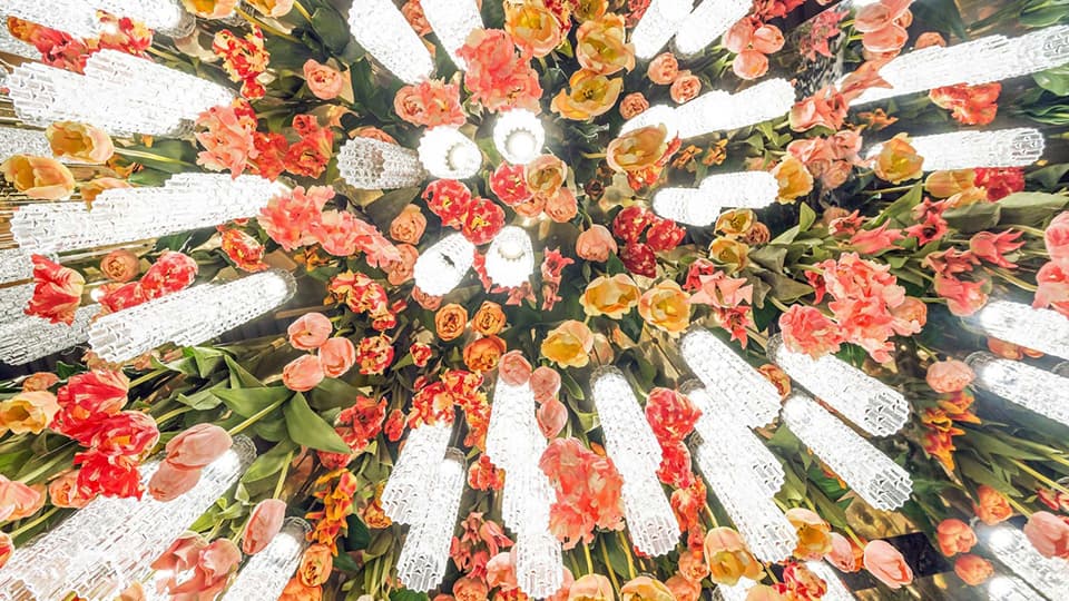 Beauty of changing seasons in Flower Power collection from VG