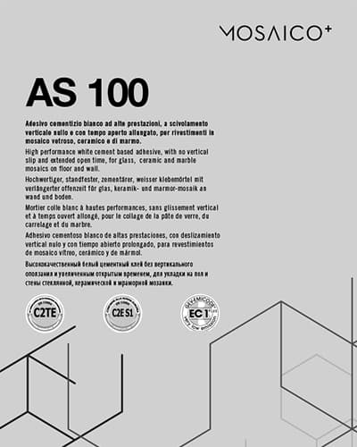 AS 100