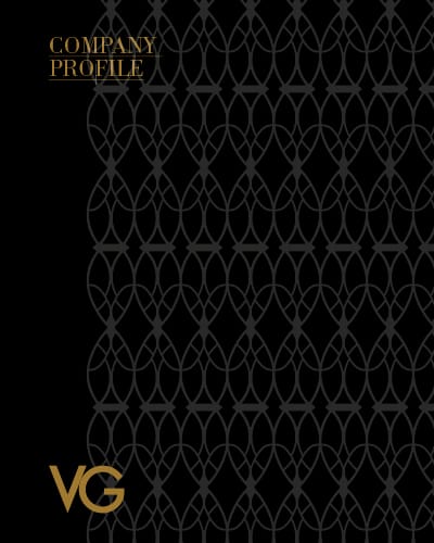 VG COMPANY PROFILE